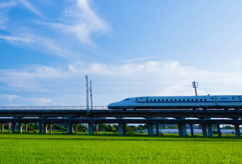 緑と青空と新幹線
