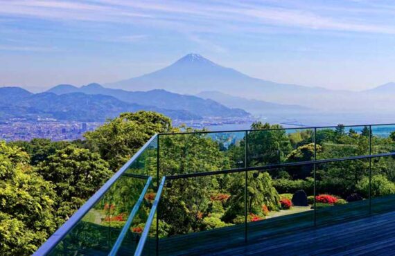 日本平からの富士山